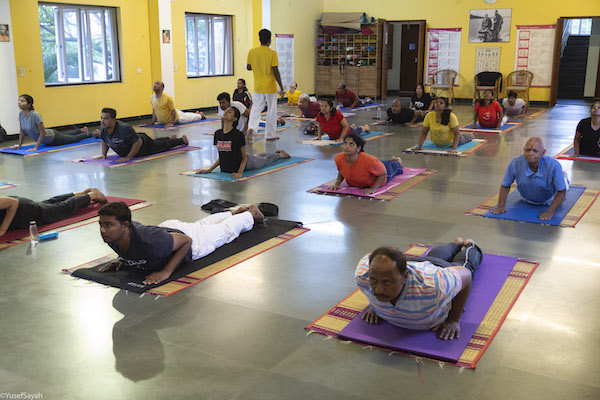 Trial sivananda-chennai-free-trial-yoga-class