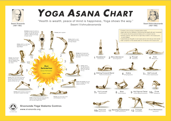 Sivananda Yoga Vedanta Chennai Centre | Free Trial Class