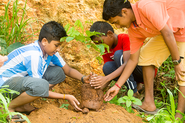 sivananda-gudur-teens-camp-activities