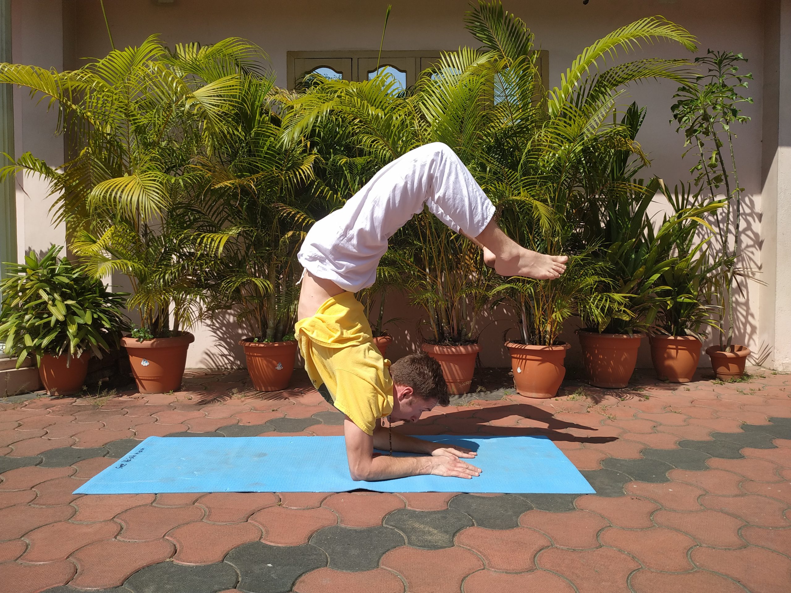sivananda-trivandrum-balancing-asanas-workshop