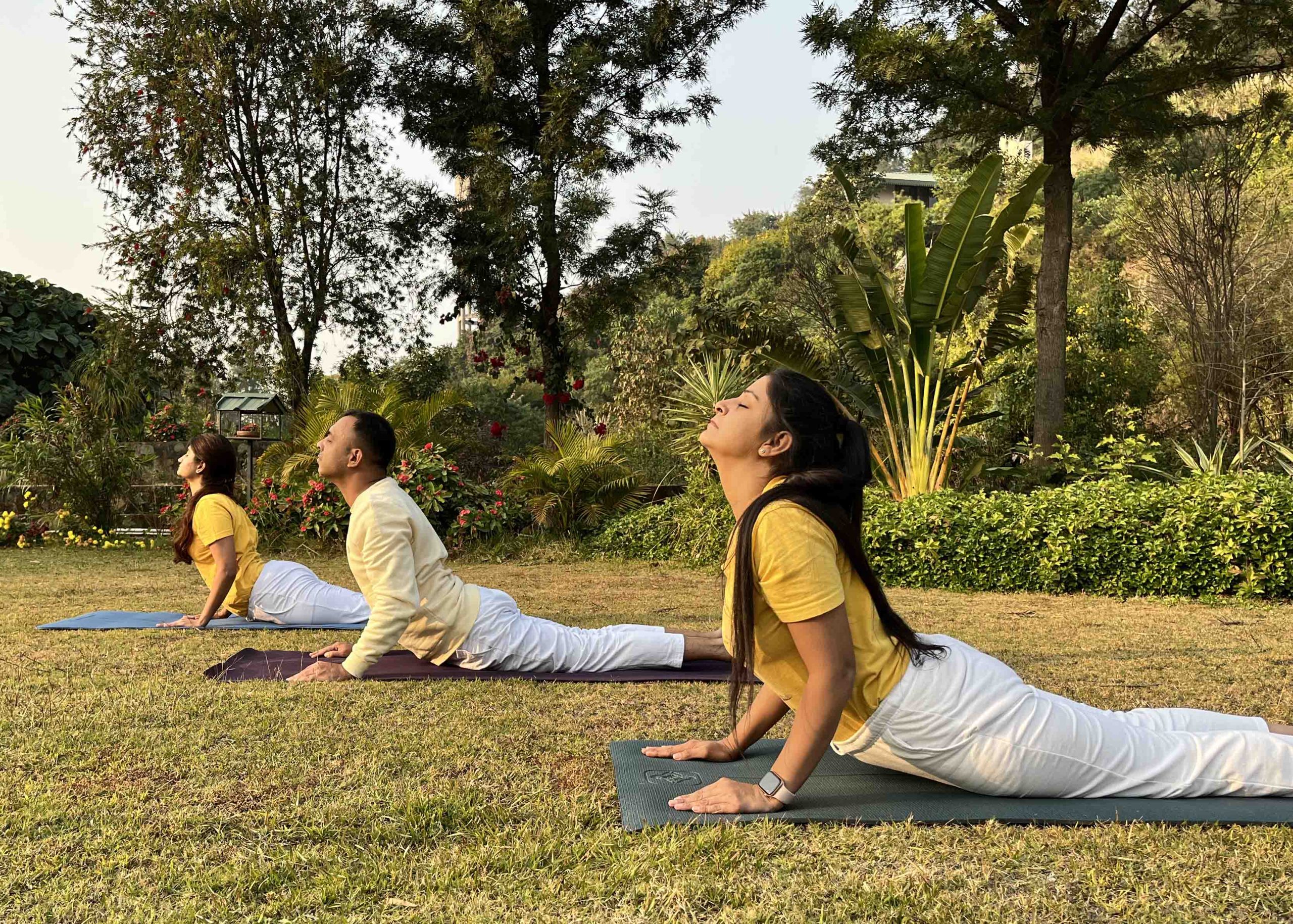 Teachers' Training Course in Himachal Pradesh - Sivananda Yoga India